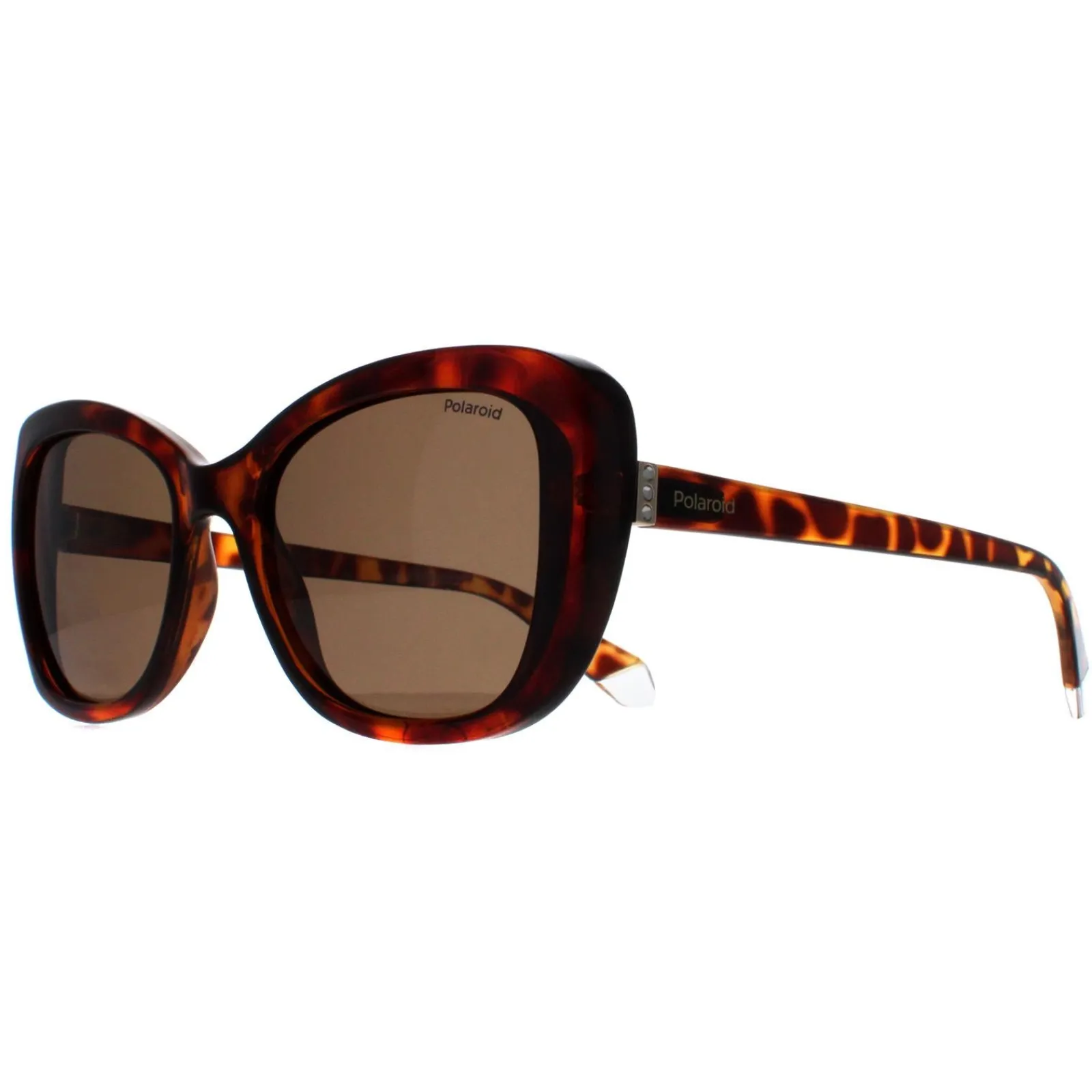 Polaroid Polarised|Butterfly^Sunglasses PLD 4132/S 086 SP Havana Bronze Polarized