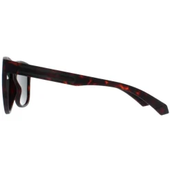 Polaroid Polarised|Square^Sunglasses PLD 2155/S HGC UC Matte Brown Havana Green Polariz