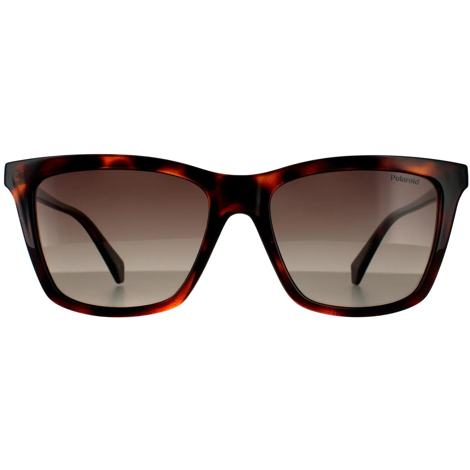 Polaroid Polarised^Sunglasses PLD 4081/S 086 LA Havana Brown Gradient Polarized