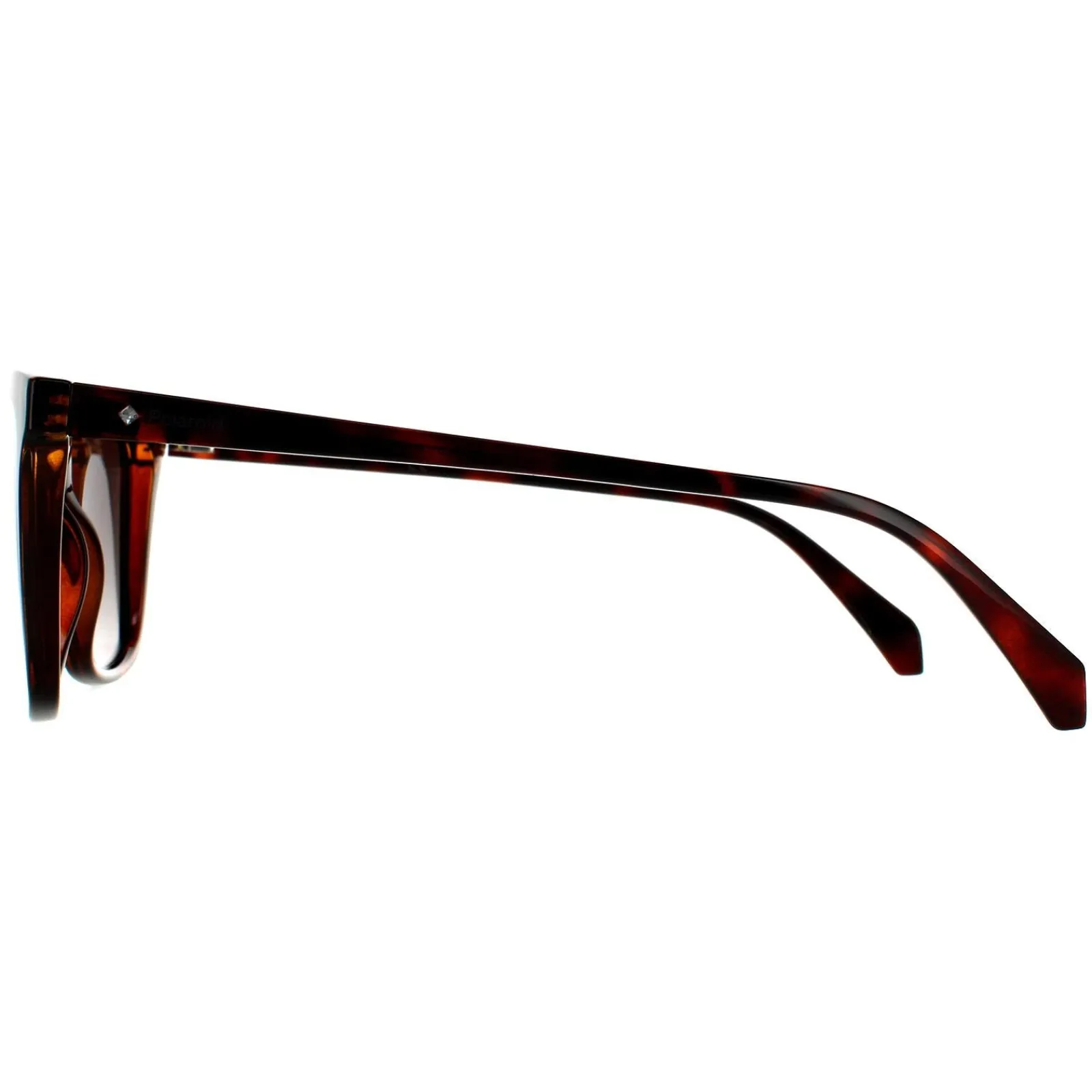Polaroid Polarised^Sunglasses PLD 4081/S 086 LA Havana Brown Gradient Polarized