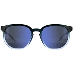 Polaroid Polarised^Sunglasses PLD 2095/S 2M0 5X Shaded Grey Blue Polarized