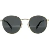Polaroid Polarised|Polaroid^Sunglasses PLD 2053/S 2F7 M9 Gold Grey Grey Polarized
