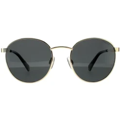 Polaroid Polarised|Polaroid^Sunglasses PLD 2053/S 2F7 M9 Gold Grey Grey Polarized