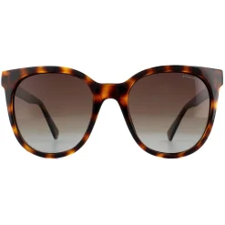 Polaroid Polarised^Sunglasses PLD 4062/S/X 086 LA Dark Havana Brown Polarized