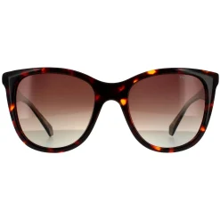 Polaroid Square|Polaroid^Sunglasses PLD 4096/S/X 086 LA Havana Brown Brown Gradient Po