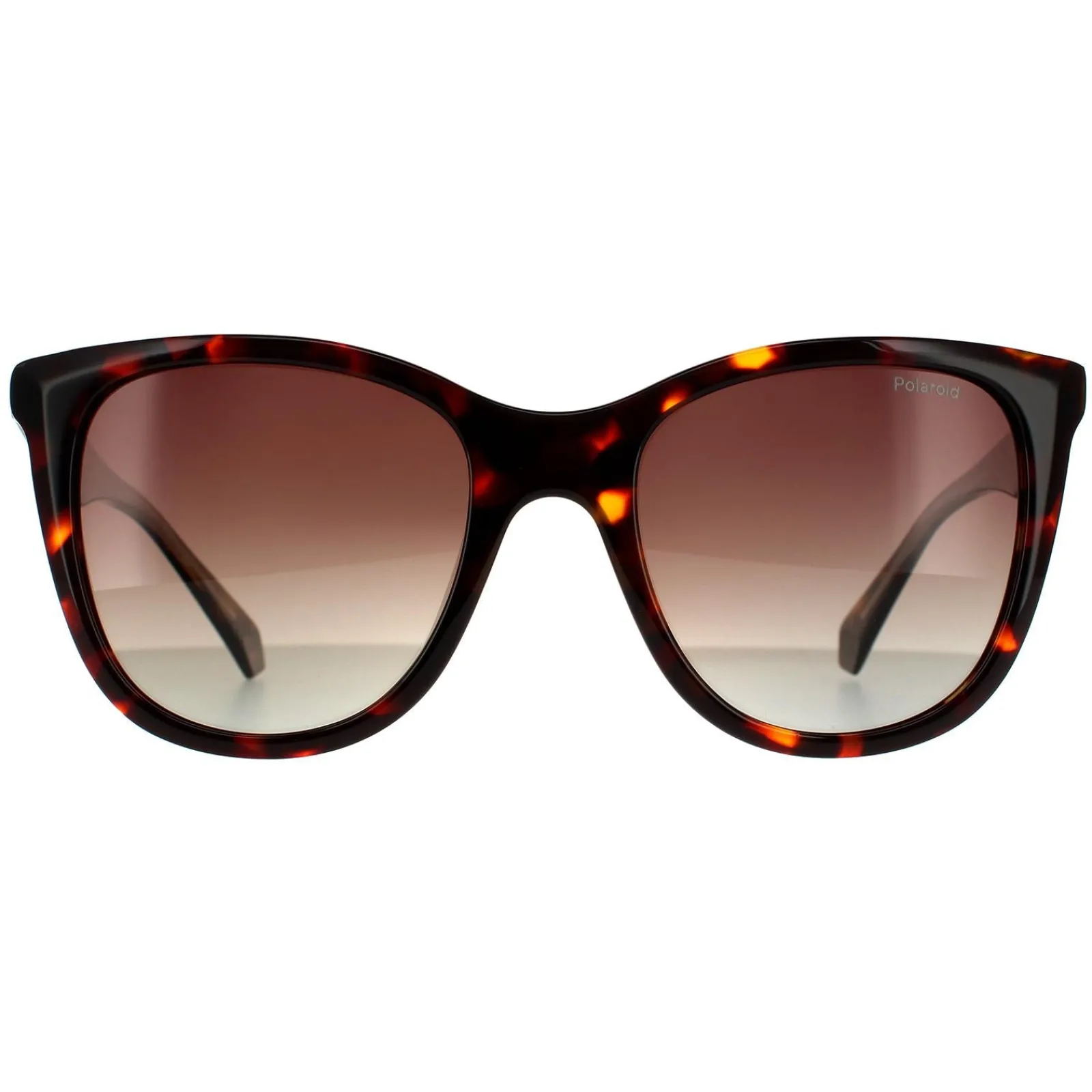Polaroid Square|Polaroid^Sunglasses PLD 4096/S/X 086 LA Havana Brown Brown Gradient Po