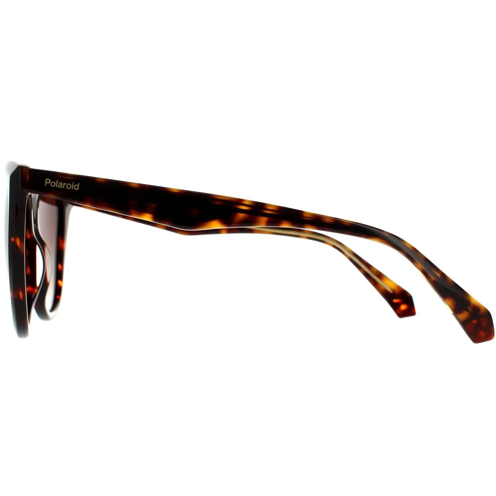 Polaroid Square|Polaroid^Sunglasses PLD 4096/S/X 086 LA Havana Brown Brown Gradient Po
