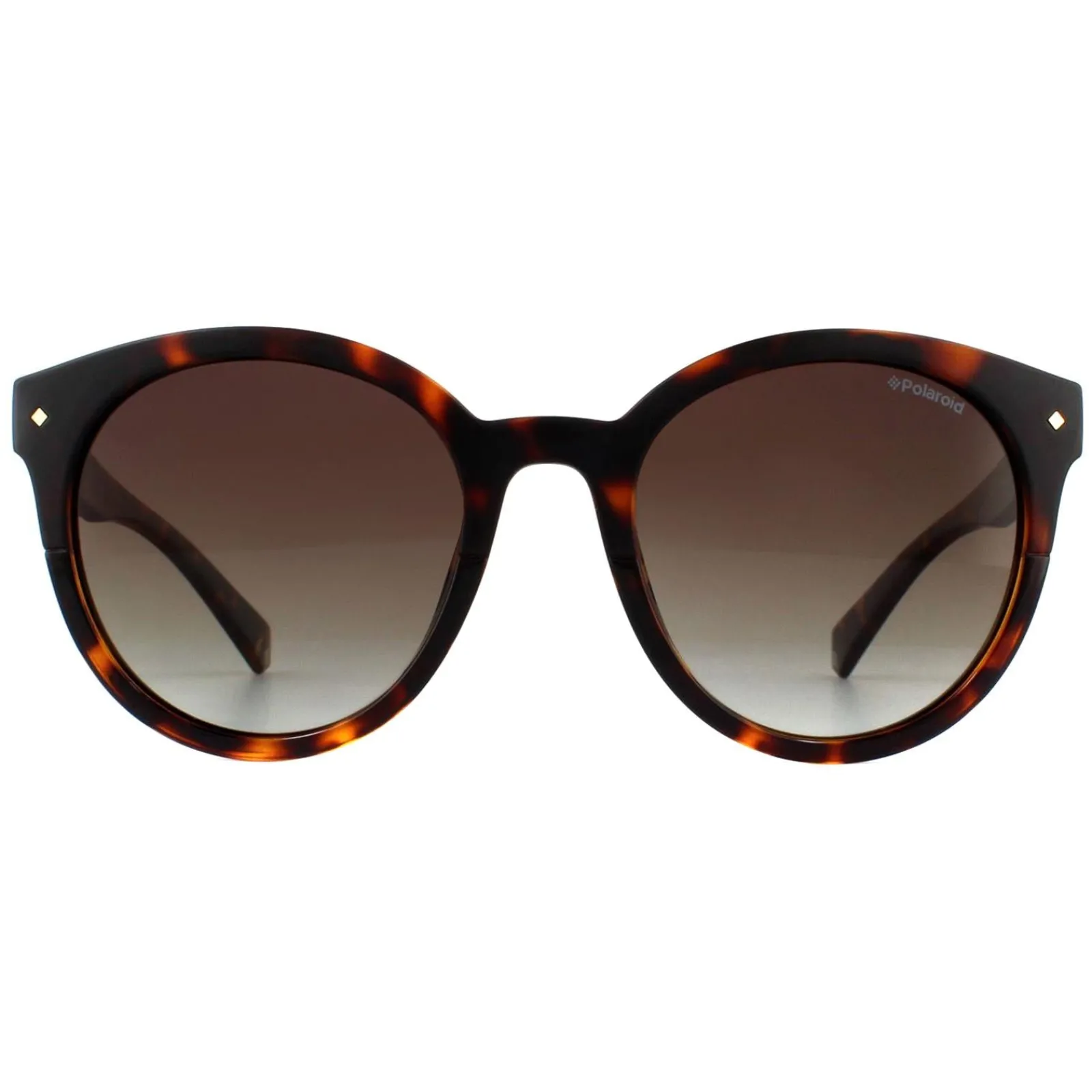Polaroid Polarised|Polaroid^Sunglasses PLD 6043/S 086 LA Dark Havana Brown Gradient Polar