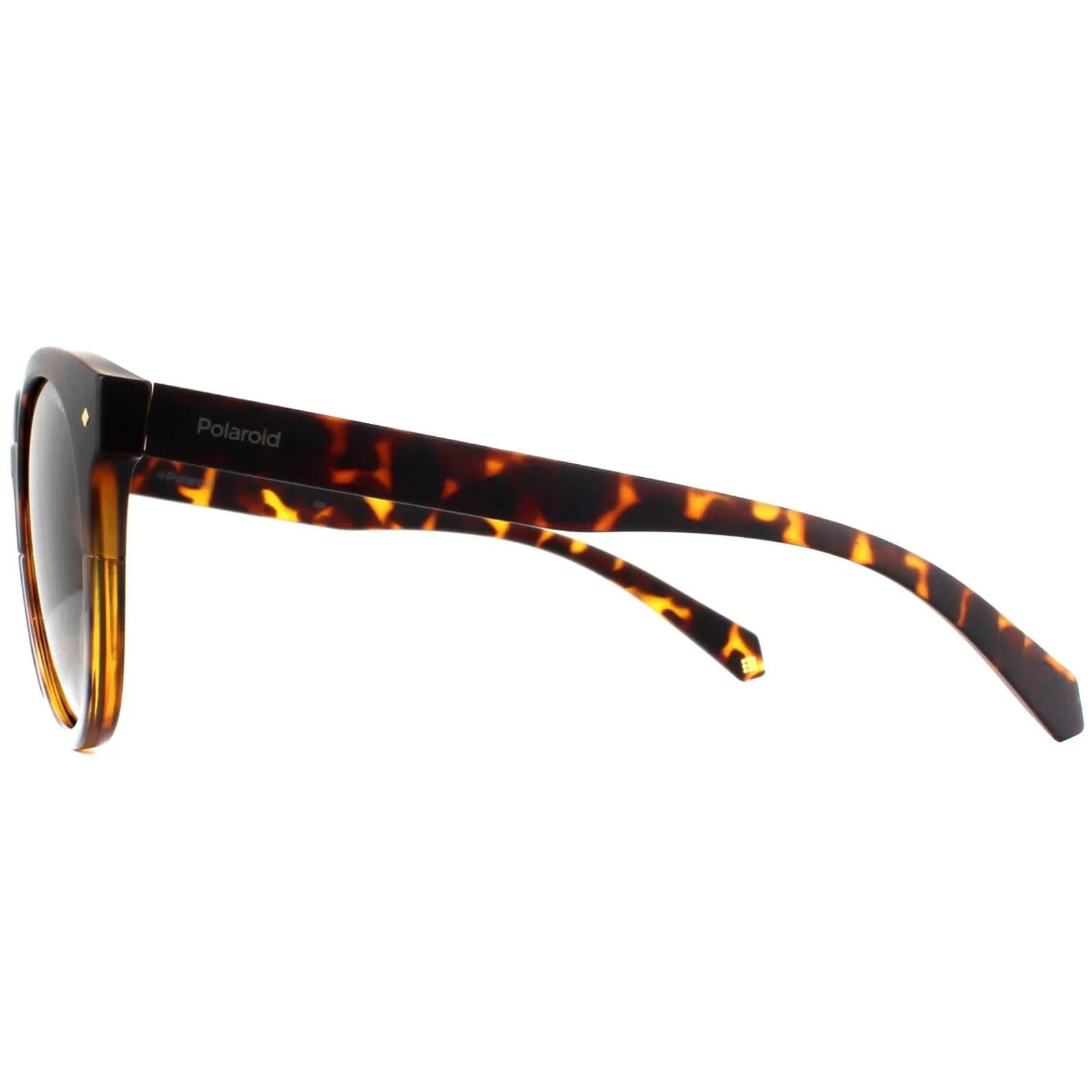 Polaroid Polarised|Polaroid^Sunglasses PLD 6043/S 086 LA Dark Havana Brown Gradient Polar