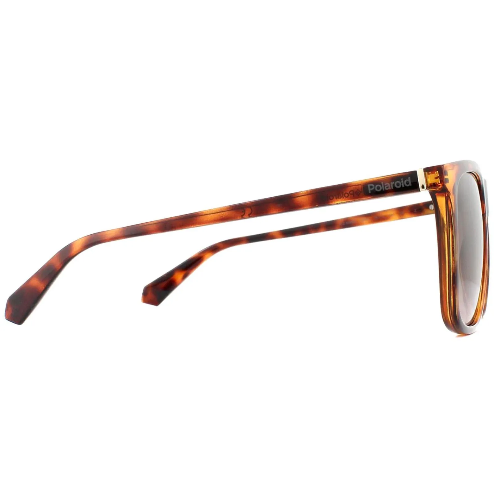 Polaroid Polarised^Sunglasses 6099/S 086 LA Dark Havana Brown Gradient Polarized