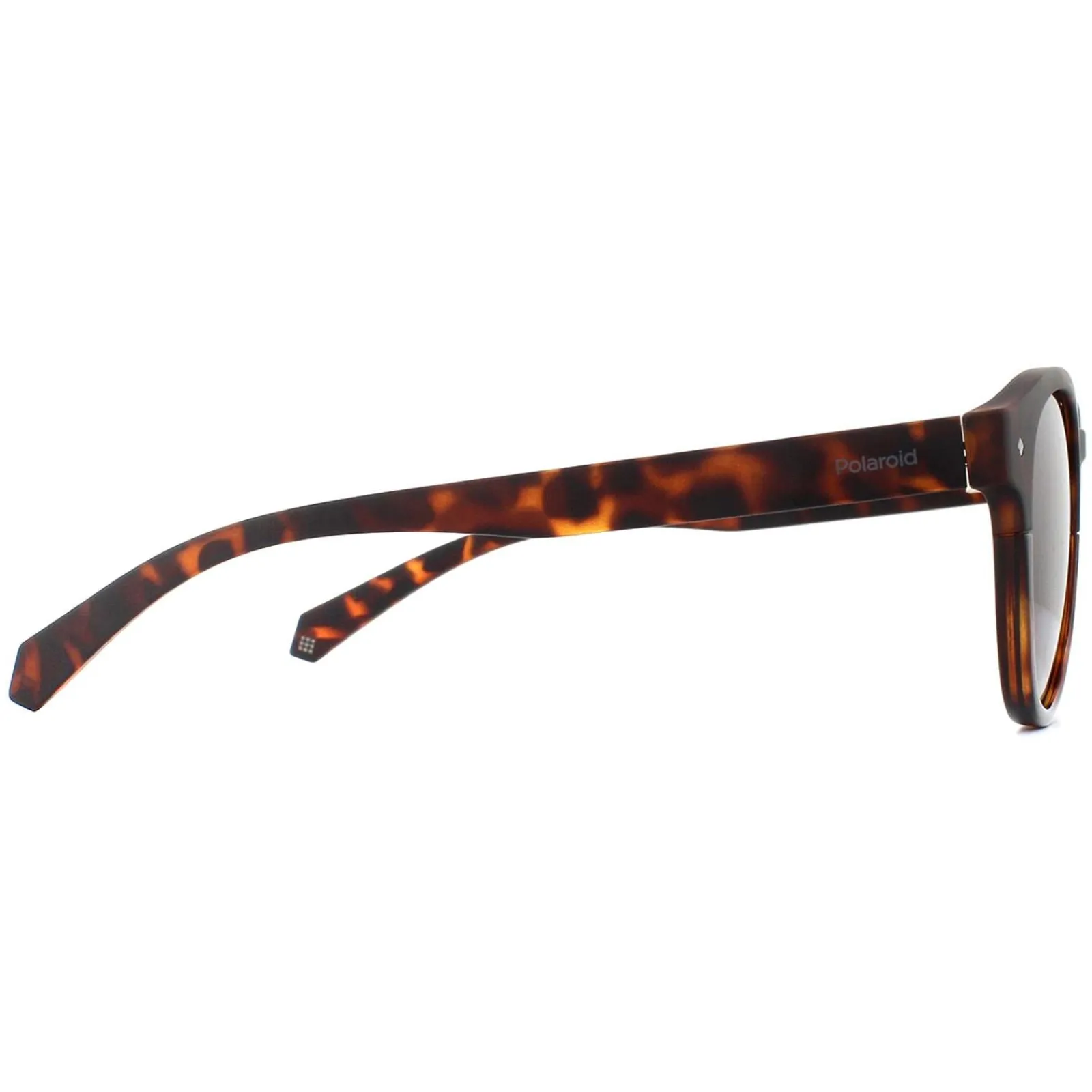 Polaroid Polarised^Sunglasses 6042/S 086 SP Dark Havana Bronze Polarized