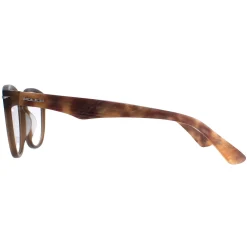 Police Round^Glasses Frames Blackbird 4 VPL392 6W8M Brown Men