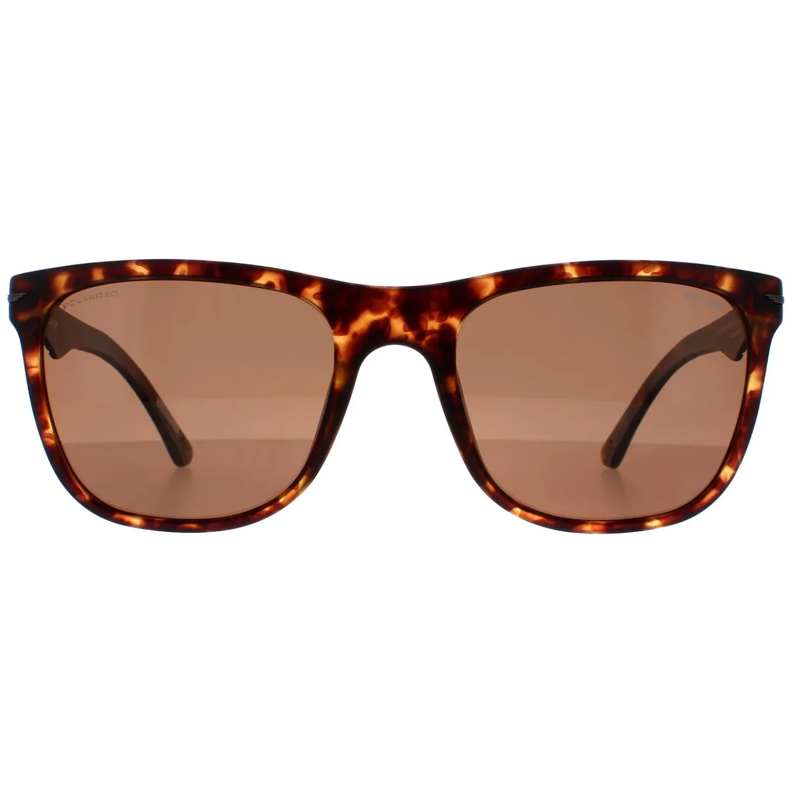 Police Rectangle|Police^Sunglasses SPL357 Blackbird Light 2 878P Matte Dark Havana Brow