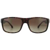 Police Rectangle|Police^Sunglasses SPLB39 Tailwind 4 0738 Matte Dark Havana Smoke Brown