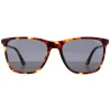 Police Rectangle|Police^Sunglasses SPLD45 Origins 46 08XW Medium Shiny Havana Grey Gree