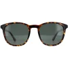 Police Round|Police^Sunglasses SPLF18E 978P Shiny Dark Havana Green Polarized