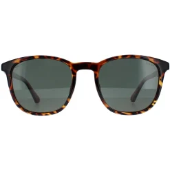 Police Round|Police^Sunglasses SPLF18E 978P Shiny Dark Havana Green Polarized