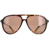 Polo Ralph Lauren Aviator^Sunglasses PH4173 500373 Shiny Dark Havana Brown