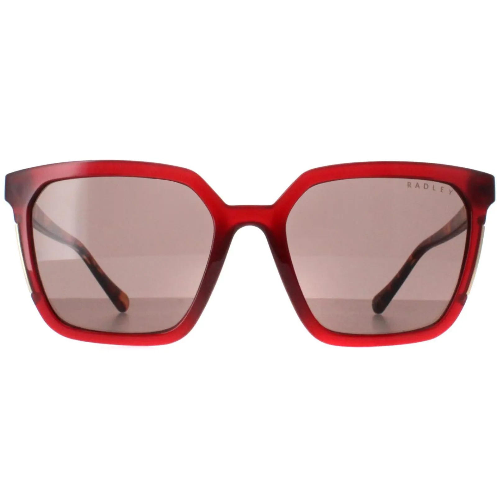 Radley Square^Sunglasses Allington 6506 172A Transparent Burgundy Brown
