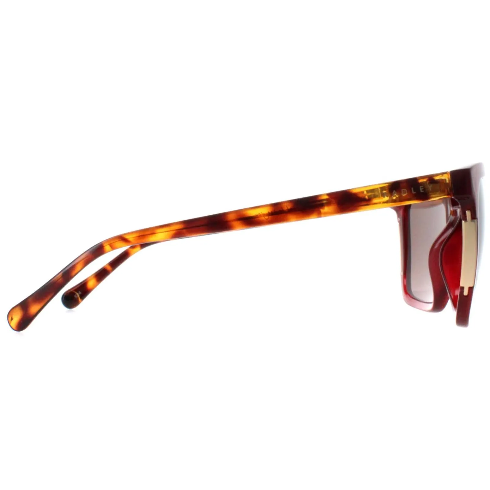 Radley Square^Sunglasses Allington 6506 172A Transparent Burgundy Brown