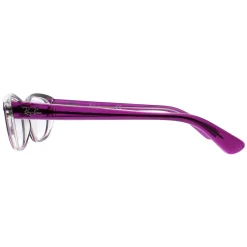 Ray-Ban Ray-Ban^Glasses Frames 5242 5254 Transparent Pink Crystal