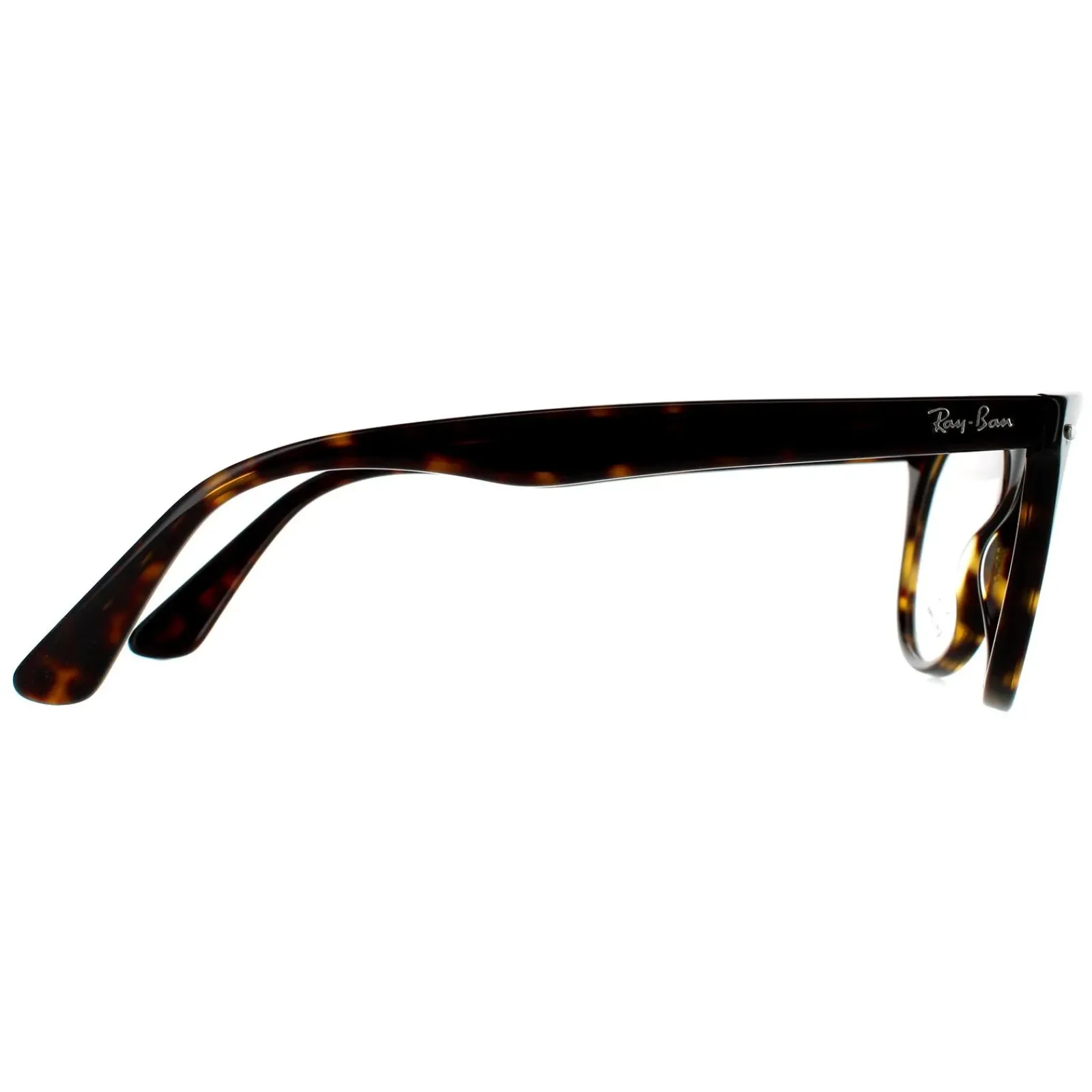 Ray-Ban Round|Ray-Ban^Glasses Frames 2185V Wayfarer II 2012 Havana Men