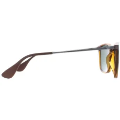 Ray-Ban Ray-Ban|Ray-Ban^Sunglasses Chris 4187 710/71 Tortoise & Gunmetal Green