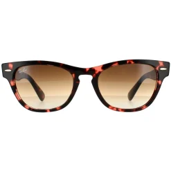 Ray-Ban Rectangle^Sunglasses Laramie RB2201 133451 Pink Havana Brown Gradient 54