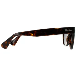 Ray-Ban Rectangle^Sunglasses Laramie RB2201 902/B1 Tortoise Dark Grey 54mm