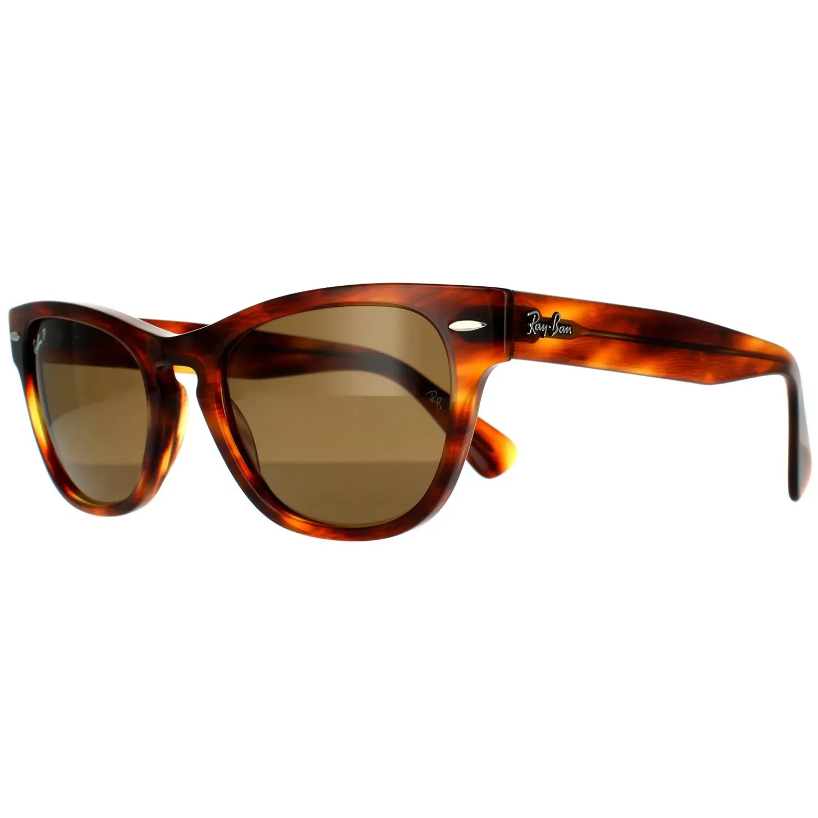 Ray-Ban Polarised|Ray-Ban^Sunglasses Laramie RB2201 954/57 Striped Havana Brown Polarize