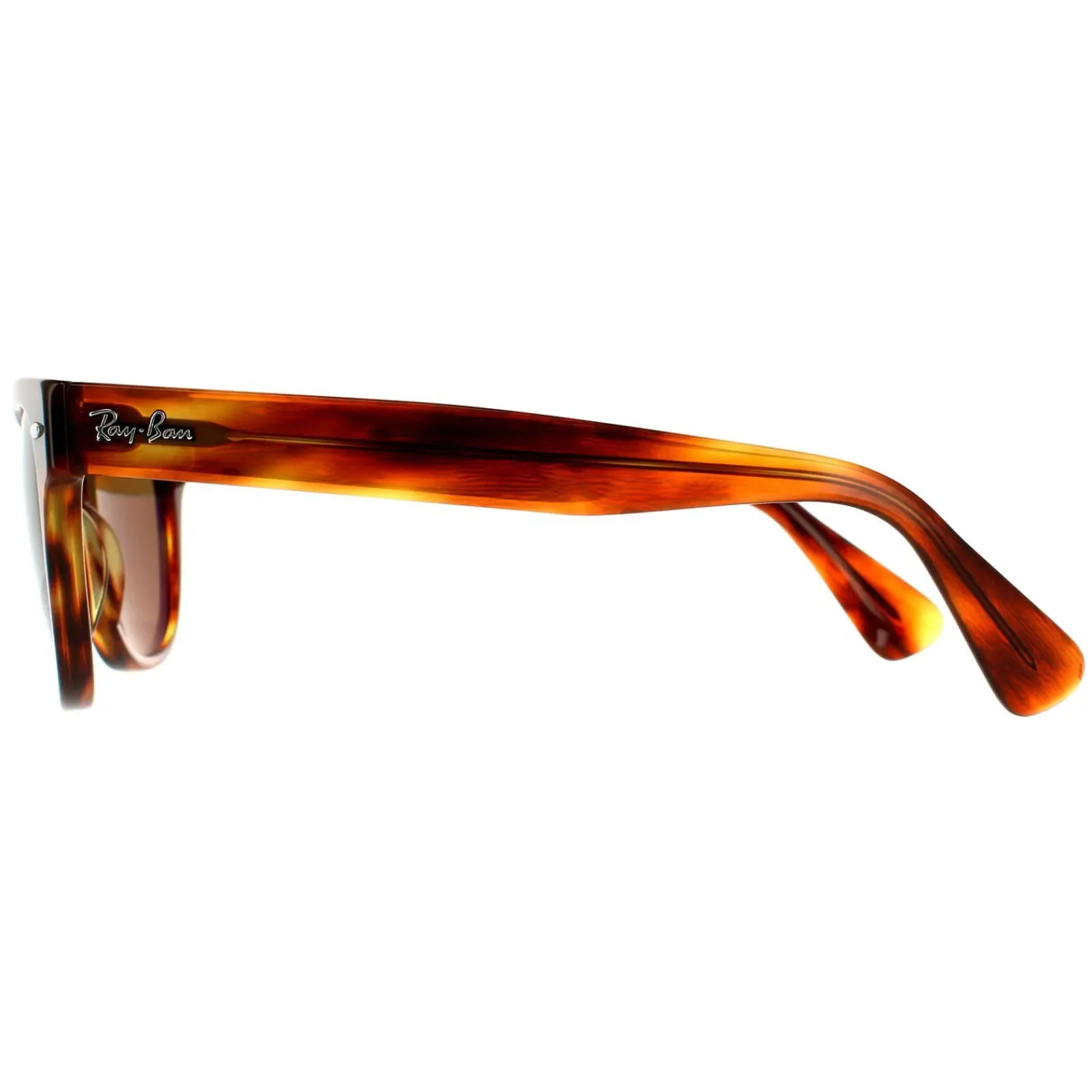 Ray-Ban Polarised|Ray-Ban^Sunglasses Laramie RB2201 954/57 Striped Havana Brown Polarize