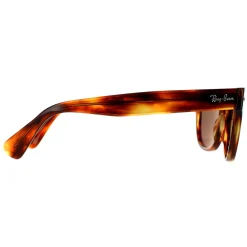 Ray-Ban Polarised|Ray-Ban^Sunglasses Laramie RB2201 954/57 Striped Havana Brown Polarize