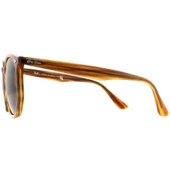 Ray-Ban Ray-Ban|Ray-Ban^Sunglasses RB4306 820/73 Striped Red Havana Dark Brown