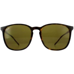 Ray-Ban Ray-Ban|Ray-Ban^Sunglasses RB4387 710/73 Tortoiseshell Brown