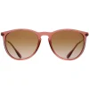 Ray-Ban Ray-Ban|Ray-Ban^Sunglasses RB4171 Erika 659013 Transparent Light Brown Brown G
