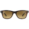 Ray-Ban Polarised^Sunglasses RB4640 710/M2 Shiny Havana Brown Gradient Polarized