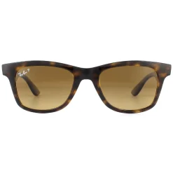 Ray-Ban Polarised^Sunglasses RB4640 710/M2 Shiny Havana Brown Gradient Polarized