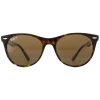 Ray-Ban Polarised^Sunglasses Wayfarer II RB2185 902/57 Striped Havana Brown Pola