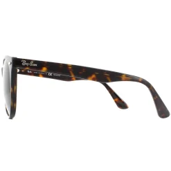 Ray-Ban Polarised^Sunglasses Wayfarer II RB2185 902/57 Striped Havana Brown Pola