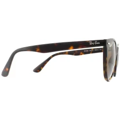 Ray-Ban Polarised^Sunglasses Wayfarer II RB2185 902/57 Striped Havana Brown Pola