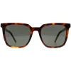 Saint Laurent Saint Laurent|Square^Sunglasses SL M146 003 Havana Grey