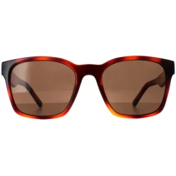 Salvatore Ferragamo Square^Sunglasses SF959S 214 Tortoise Brown