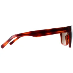 Salvatore Ferragamo Square^Sunglasses SF959S 214 Tortoise Brown