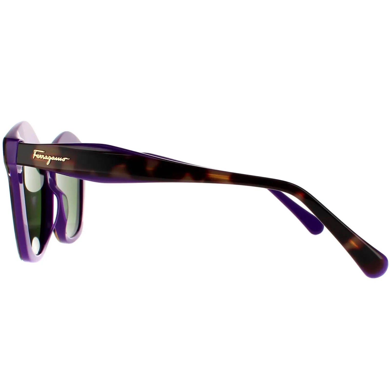 Salvatore Ferragamo Square^Sunglasses SF941S 227 Havana Vintage Violet Green