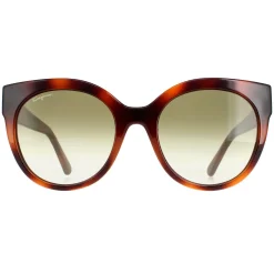 Salvatore Ferragamo Cat-Eye^Sunglasses SF1031S 214 Tortoise Green