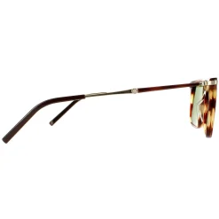 Salvatore Ferragamo Square^Sunglasses SF966S 216 Striped Brown Solid Green