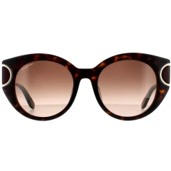 Salvatore Ferragamo Cat-Eye^Sunglasses SF840SA 214 Tortoise Brown Gradient