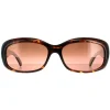 Serengeti Oval^Sunglasses Bianca 8978 Shiny Tortoise Drivers Gradient Polar
