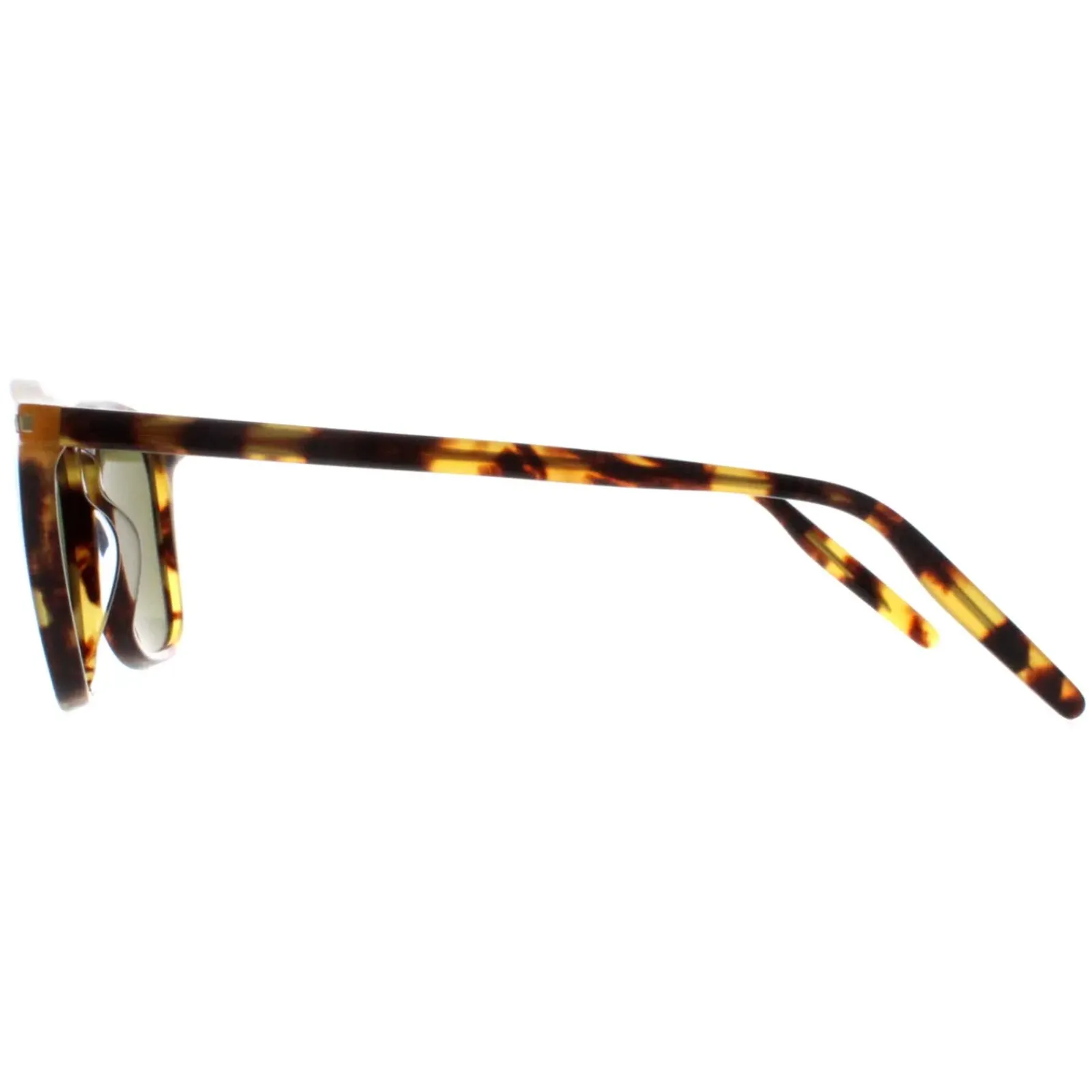 Serengeti Round^Sunglasses Delio SS021004 Shiny Classic Havana Mineral Polar