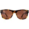Serengeti Square|Polarised^Sunglasses Foyt Large SS550002 Shiny Tortoise Havana Mineral